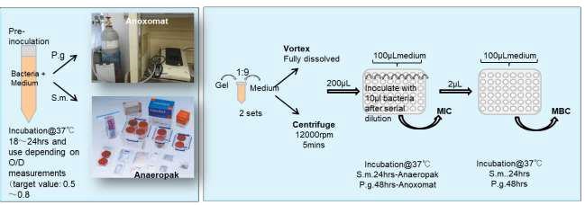 Antibakterielle Mundspülung